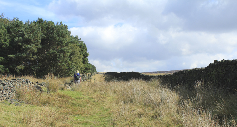Packhorse Trail Packhorse Trail